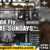 The ‘Reggae Sundays’ with DJ Madd Fly